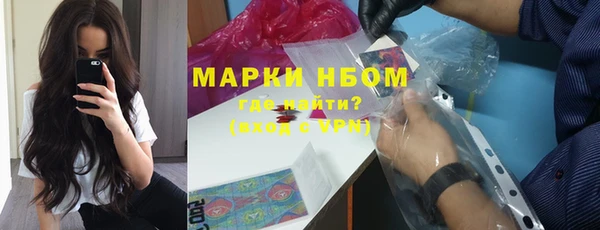 стафф Алексин