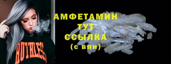 стафф Алексин