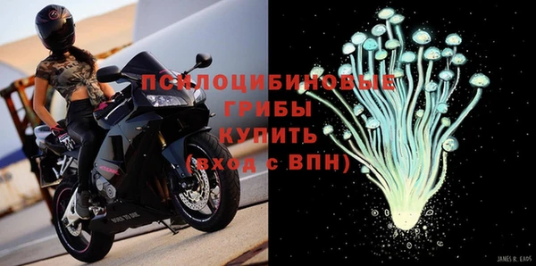 стафф Алексин