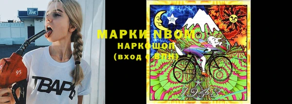 стафф Алексин