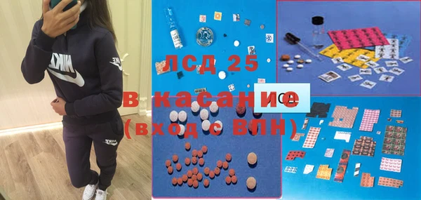 стафф Алексин
