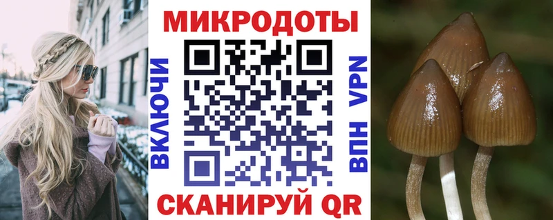 Галлюциногенные грибы Psilocybe  магазин  наркотиков  Полевской 